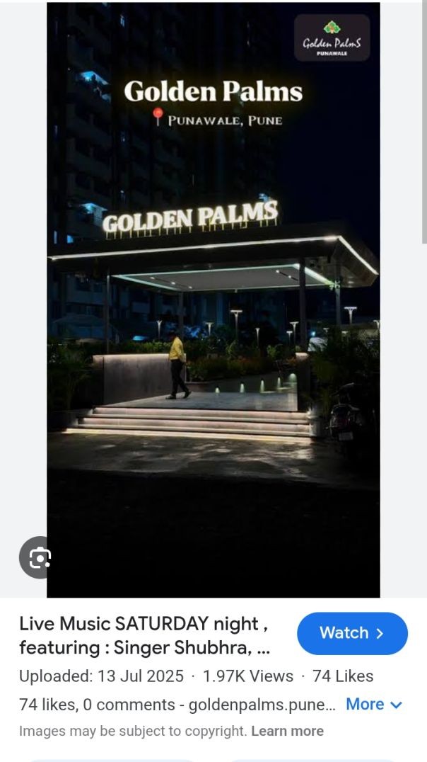 Hotel Golden palms ..punavale